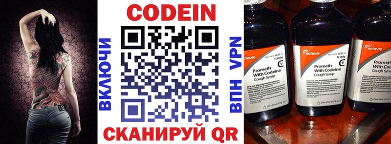 Кодеин напиток Lean (лин)  как найти наркотики  Приозерск 