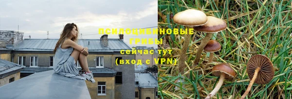 ECSTASY Няндома