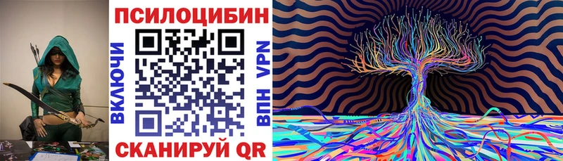 mega ТОР  Приозерск  Псилоцибиновые грибы прущие грибы 